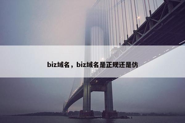 biz域名，biz域名是正规还是仿