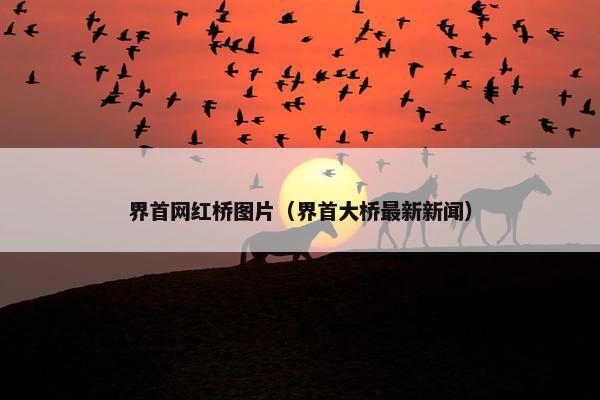 界首网红桥图片（界首大桥最新新闻）