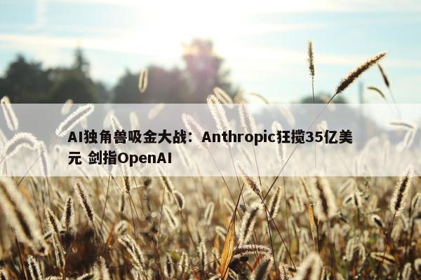 AI独角兽吸金大战：Anthropic狂揽35亿美元 剑指OpenAI