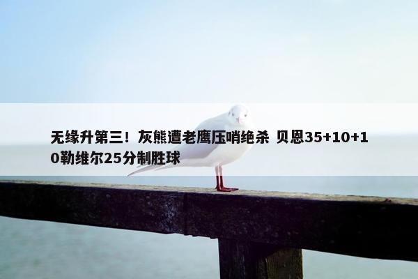 无缘升第三！灰熊遭老鹰压哨绝杀 贝恩35+10+10勒维尔25分制胜球