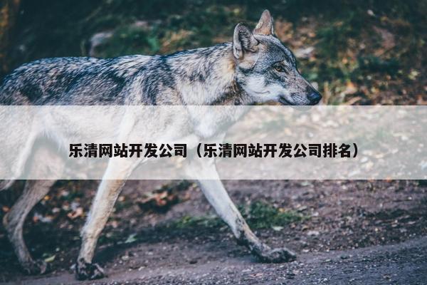 乐清网站开发公司（乐清网站开发公司排名）