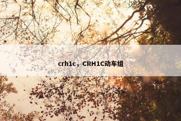 crh1c，CRH1C动车组