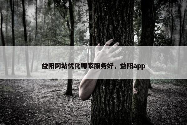 益阳网站优化哪家服务好，益阳app