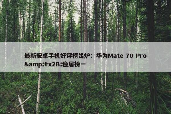 最新安卓手机好评榜出炉：华为Mate 70 Pro&#x2B;稳居榜一