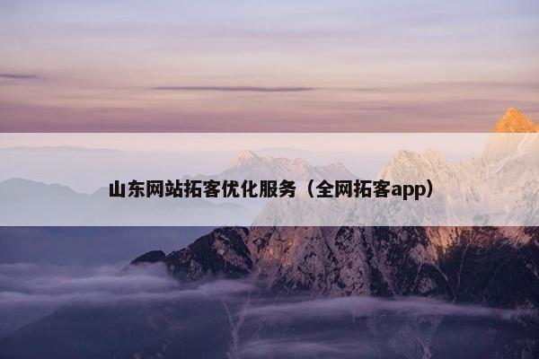 山东网站拓客优化服务（全网拓客app）