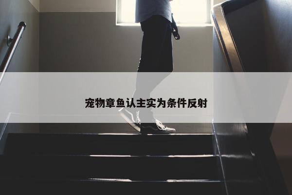 宠物章鱼认主实为条件反射