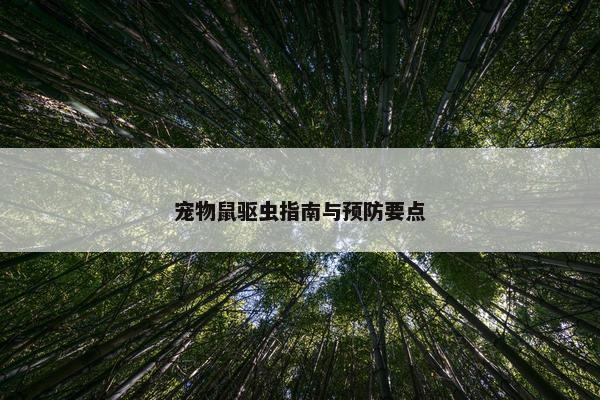 宠物鼠驱虫指南与预防要点