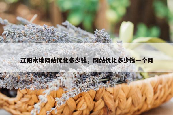 辽阳本地网站优化多少钱，网站优化多少钱一个月