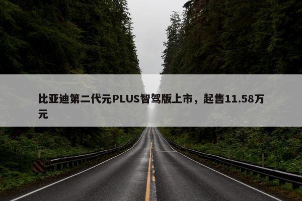 比亚迪第二代元PLUS智驾版上市，起售11.58万元