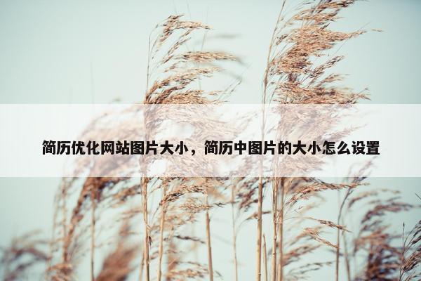 简历优化网站图片大小，简历中图片的大小怎么设置