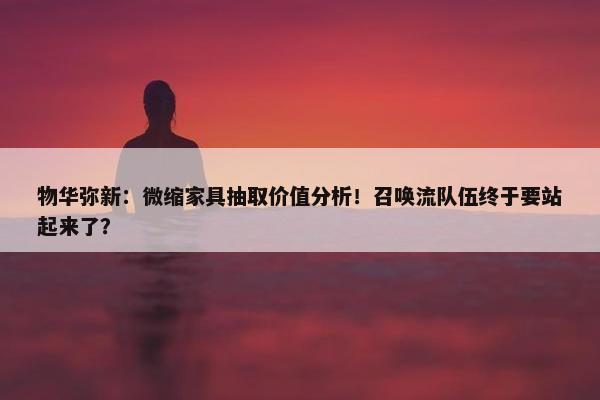 物华弥新：微缩家具抽取价值分析！召唤流队伍终于要站起来了？