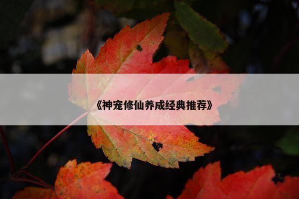 《神宠修仙养成经典推荐》