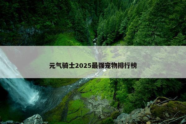 元气骑士2025最强宠物排行榜