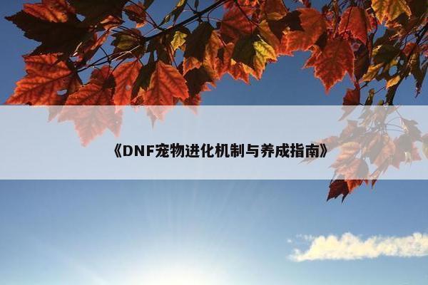 《DNF宠物进化机制与养成指南》