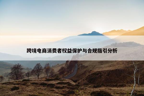 跨境电商消费者权益保护与合规指引分析