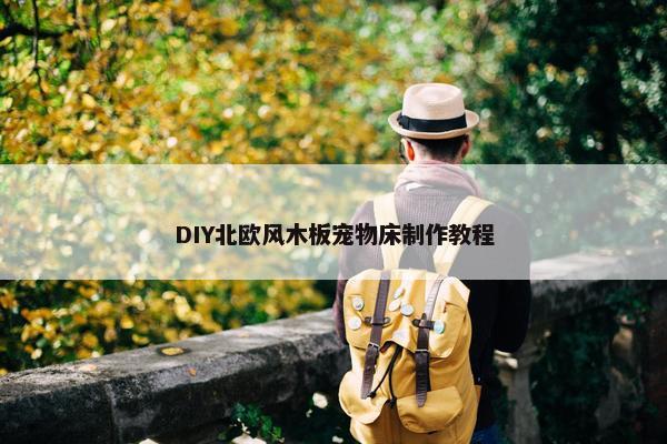 DIY北欧风木板宠物床制作教程