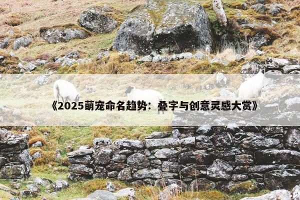 《2025萌宠命名趋势：叠字与创意灵感大赏》