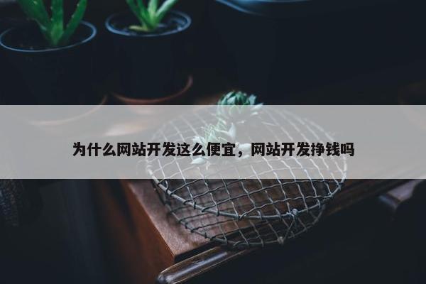 为什么网站开发这么便宜，网站开发挣钱吗