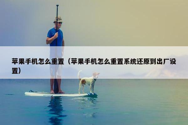 苹果手机怎么重置（苹果手机怎么重置系统还原到出厂设置）