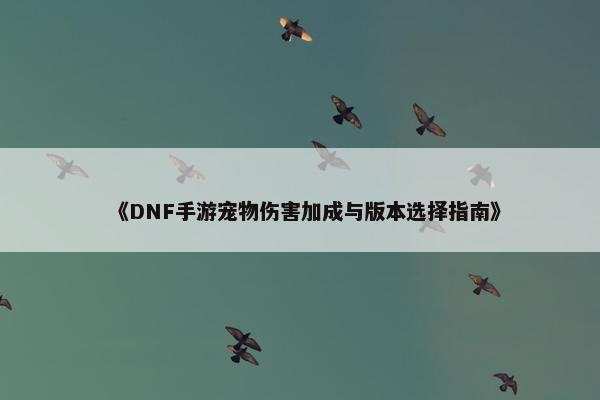 《DNF手游宠物伤害加成与版本选择指南》