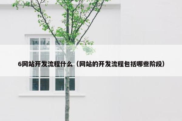 6网站开发流程什么（网站的开发流程包括哪些阶段）