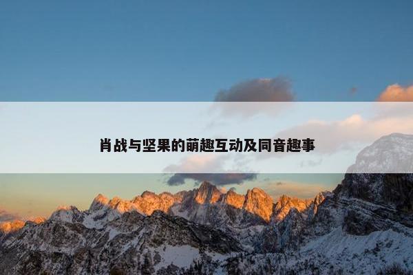 肖战与坚果的萌趣互动及同音趣事