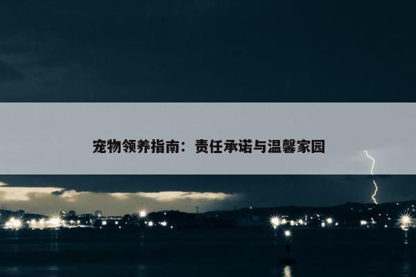 宠物领养指南：责任承诺与温馨家园