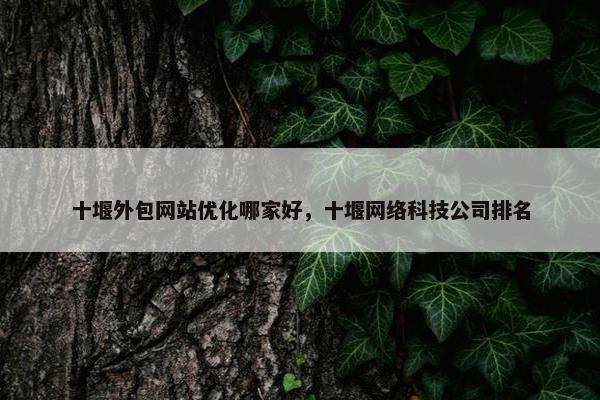 十堰外包网站优化哪家好，十堰网络科技公司排名