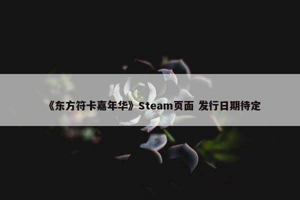 《东方符卡嘉年华》Steam页面 发行日期待定