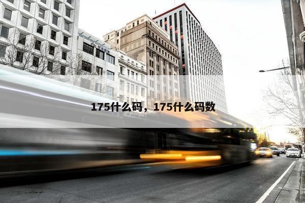 175什么码，175什么码数