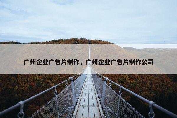 广州企业广告片制作，广州企业广告片制作公司