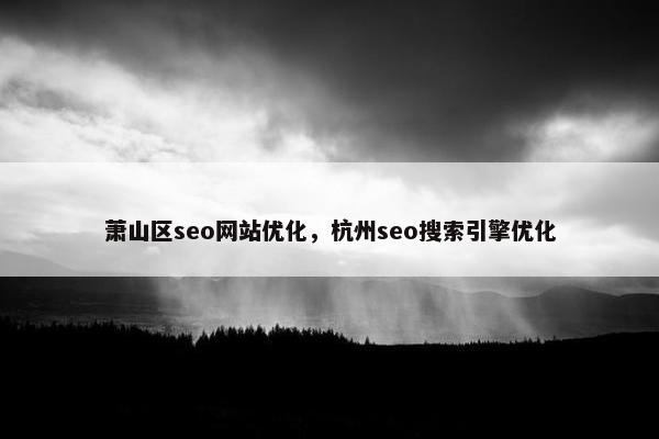 萧山区seo网站优化，杭州seo搜索引擎优化