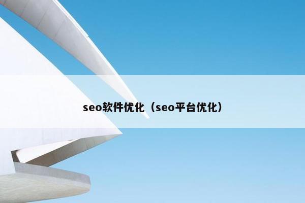 seo软件优化（seo平台优化）