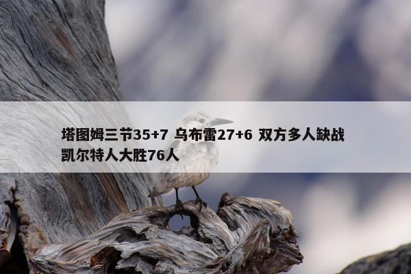 塔图姆三节35+7 乌布雷27+6 双方多人缺战 凯尔特人大胜76人