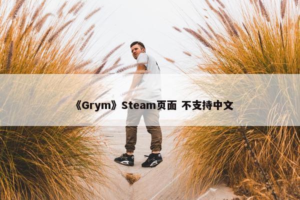 《Grym》Steam页面 不支持中文