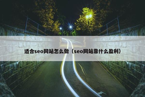 适合seo网站怎么做（seo网站靠什么盈利）