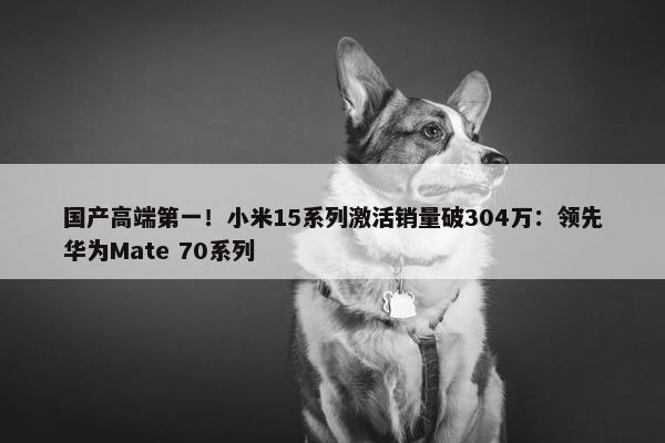 国产高端第一！小米15系列激活销量破304万：领先华为Mate 70系列