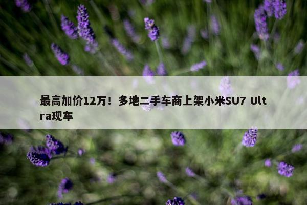 最高加价12万！多地二手车商上架小米SU7 Ultra现车