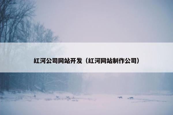 红河公司网站开发（红河网站制作公司）