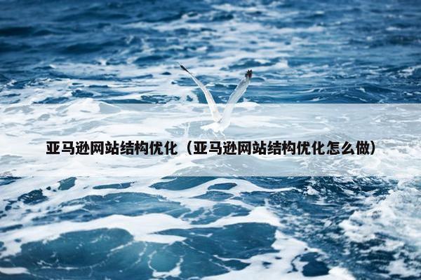 亚马逊网站结构优化（亚马逊网站结构优化怎么做）