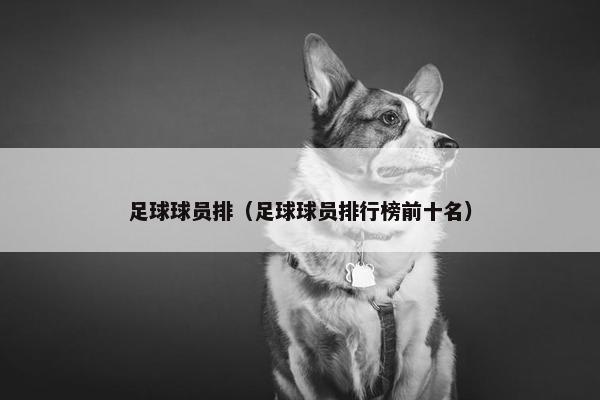 足球球员排（足球球员排行榜前十名）