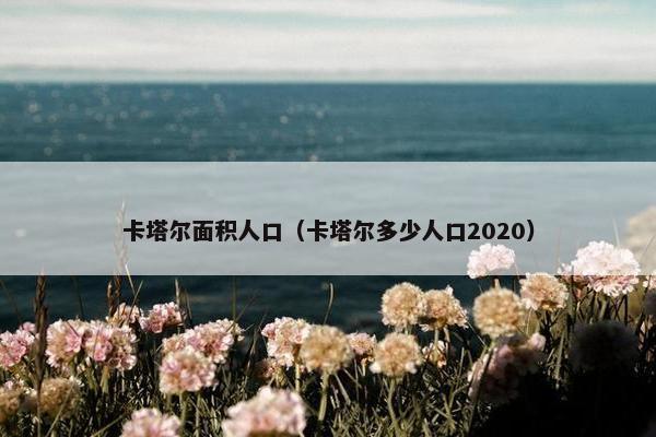 卡塔尔面积人口（卡塔尔多少人口2020）