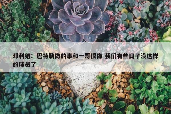 邓利维：巴特勒做的事和一哥很像 我们有些日子没这样的球员了