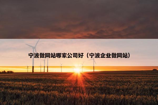 宁波做网站哪家公司好（宁波企业做网站）