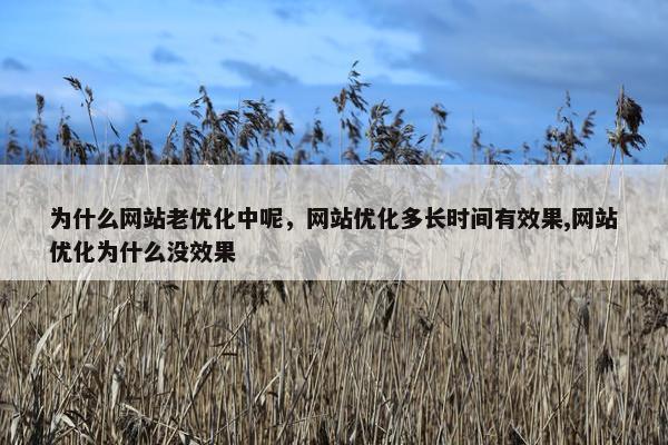 为什么网站老优化中呢，网站优化多长时间有效果,网站优化为什么没效果