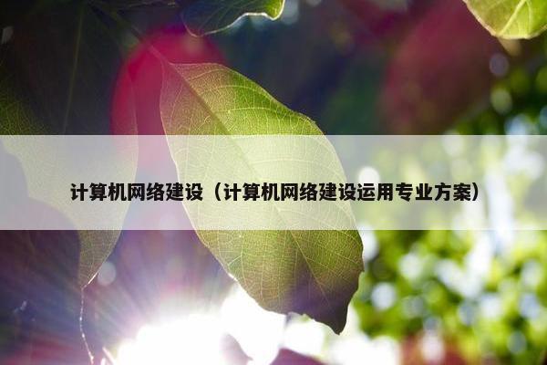 计算机网络建设（计算机网络建设运用专业方案）