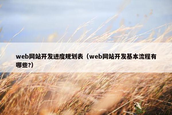 web网站开发进度规划表（web网站开发基本流程有哪些?）