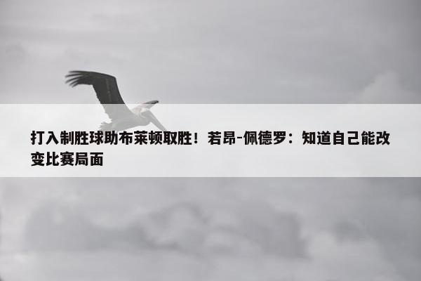 打入制胜球助布莱顿取胜！若昂-佩德罗：知道自己能改变比赛局面