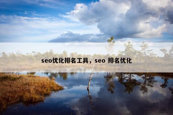 seo优化排名工具，seo 排名优化