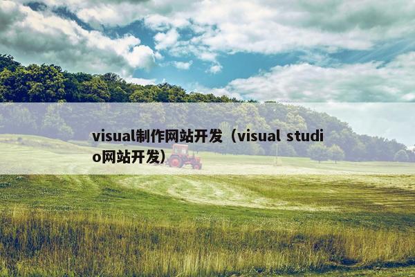 visual制作网站开发（visual studio网站开发）